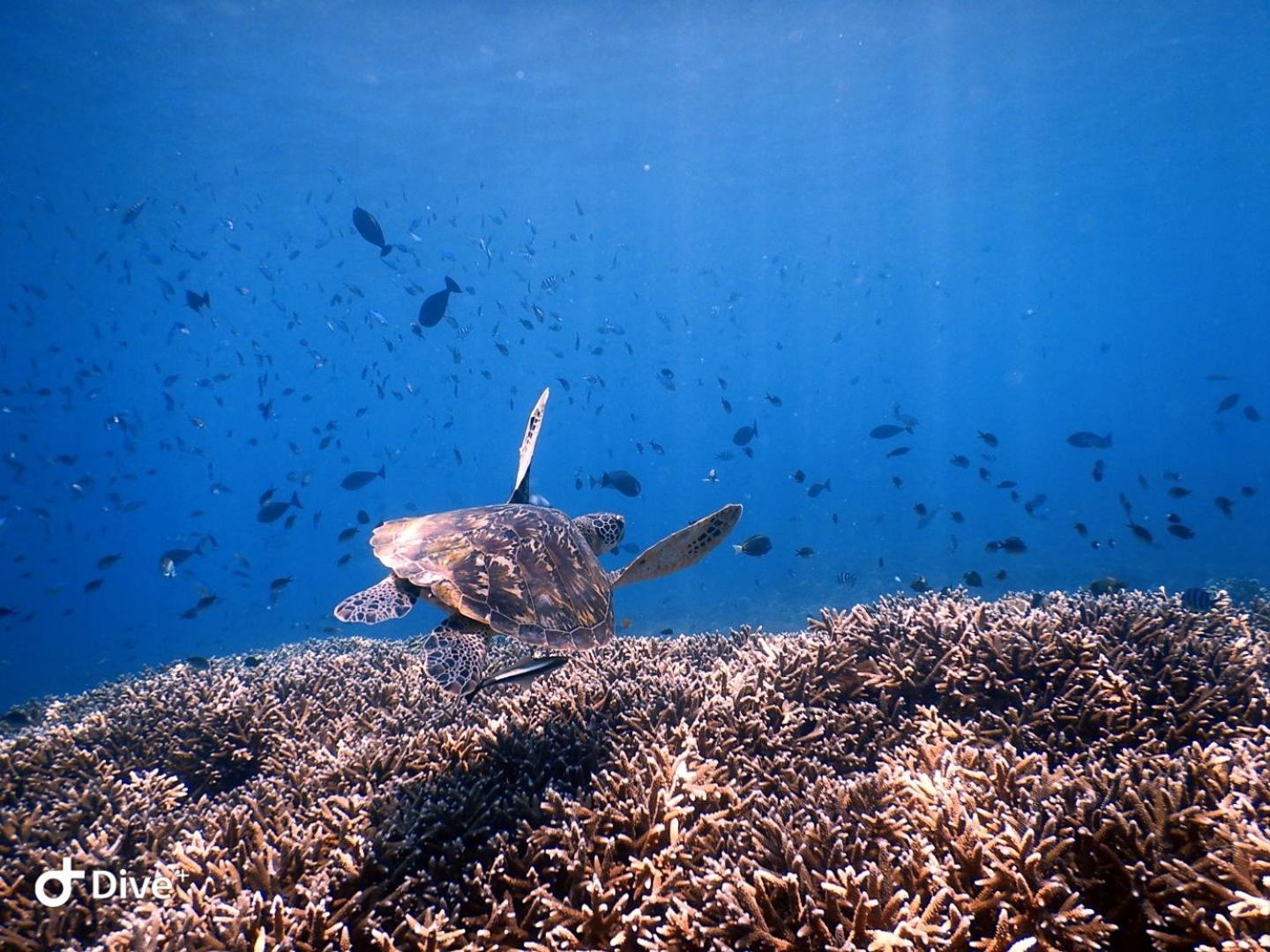 Samsara Penida Villa Nusa Penida Dış mekan fotoğraf